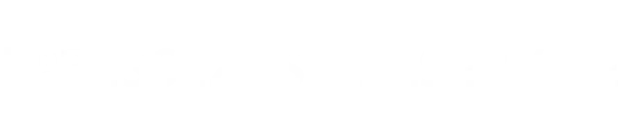 Pressezustellservice